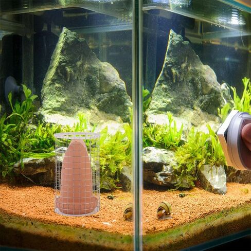 Ipetboom 1 مجموعة التفريخ دلو حجر حجر حوض السمك الملاك الأسماك الحية Angelfish التفريخ مخروط يعيش سمك السلور رمي الأسماك الحية لتربية السيراميك مخروط بيض الأسماك المخاريط الطين الصخور خزان الأسماك in Kuwait