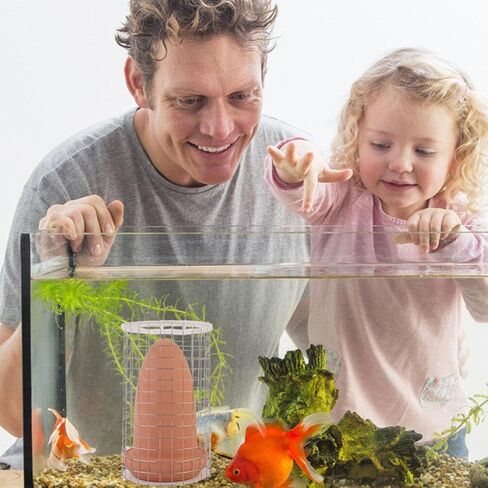 Ipetboom 1 مجموعة التفريخ دلو حجر حجر حوض السمك الملاك الأسماك الحية Angelfish التفريخ مخروط يعيش سمك السلور رمي الأسماك الحية لتربية السيراميك مخروط بيض الأسماك المخاريط الطين الصخور خزان الأسماك in Kuwait