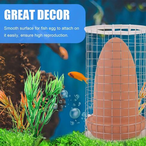 Ipetboom 1 مجموعة التفريخ دلو حجر حجر حوض السمك الملاك الأسماك الحية Angelfish التفريخ مخروط يعيش سمك السلور رمي الأسماك الحية لتربية السيراميك مخروط بيض الأسماك المخاريط الطين الصخور خزان الأسماك in Kuwait