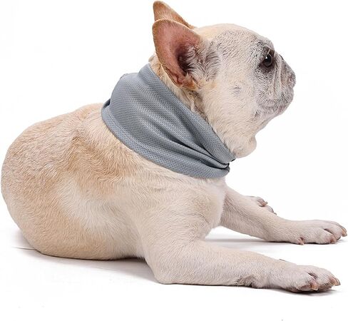 NACOCO Summer Dog Cooling Scarf - 2 Pcs Pet Instant Bandana Neck Ice Breathable Collar with Leash Hole for Outdoor hot Soft Chill Out Towel Small Medium Bulldog(S) in Saudi Arabia