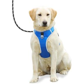 Dog Harness for Medium Dogs No Pull, Adjustable Reflective Oxford Outdoor Vest, Easy for Walk and Training, Front/Back Leash Clips for Small, Medium, Large Dogs (Blue, M)