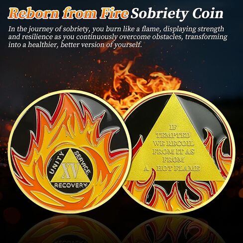 Reborn from Fire One Year Sobriety Coin - Recovery Flames 1 Year AA Coins - NA AA Chips and Medallions - 1-30 Prime Living Clean Narcotics Alcoholics Anonymous Gifts for Men Women in Kuwait