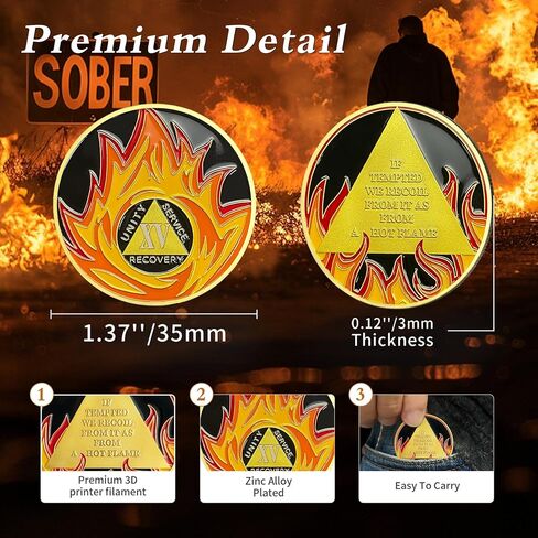 Reborn from Fire One Year Sobriety Coin - Recovery Flames 1 Year AA Coins - NA AA Chips and Medallions - 1-30 Prime Living Clean Narcotics Alcoholics Anonymous Gifts for Men Women in Kuwait