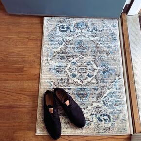 4620 Cream 5 x 7 Area Rug