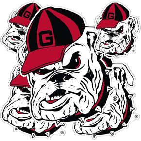 Desert Cactus University of Georgia Sticker Bulldogs UGA Dawgs Stickers Vinyl Decals Laptop Water Bottle Car Scrapbook T3 (Type 3-6)