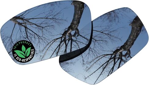 Raydi Polycarbonate Replacement Lenses for Spy Optic Dirk Sunglasses in Saudi Arabia