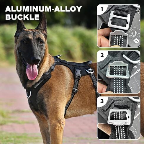 HAGGEMI/Truelove Adjustable No-Pull Dog Harness with Leash Set, Reflective Pet Vest Harness with Soft Padded, Service Dog Vest with Dog Leash and Dog Waste Bags for Medium and Large Dogs（Orange,M） in Saudi Arabia