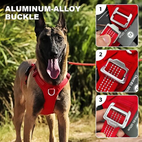 HAGGEMI/Truelove Adjustable No-Pull Dog Harness with Leash Set, Reflective Pet Vest Harness with Soft Padded, Service Dog Vest with Dog Leash and Dog Waste Bags for Medium and Large Dogs（Orange,M） in Saudi Arabia