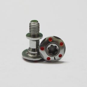 2pcs 1g Golf Weights Cartridge for Taylormade MWT FCT R1, R11, R11S, R9,R7,R5 Rossa Spider