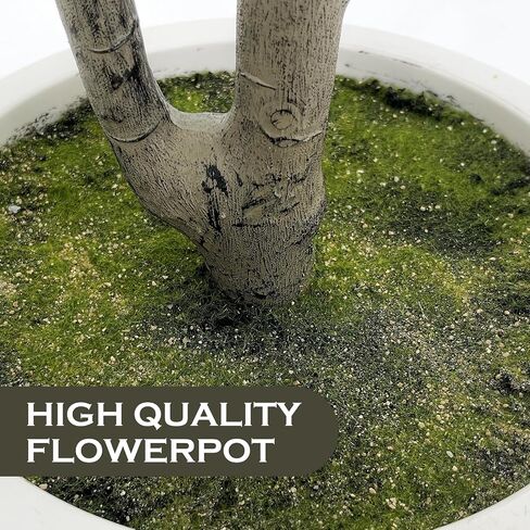 ROOMTEC Olive Trees Artificial Indoor, Faux Olive Tree 6ft with White Planter and Fake Moss, Potted Plants Artificial Decor Realistic Trunk Leaves and Fruits for Home Office Decor (1, 6 FT) in Saudi Arabia
