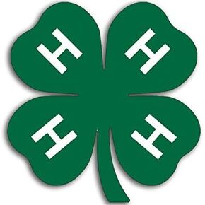 4H Green Clover Shaped Logo Sticker (Emblem Insignia ag Agriculture 4 leafed Four Vinyl Decal for car, Truck. or Laptop (3 inch)