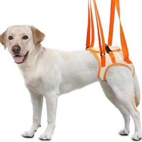 Dog Lift Harness, Dog Sling for Large Dogs Hind Leg Support M/L/XL, Dog Support Harness for Back Leg Rear Legs and Keep The Joint Stable Rehabilitation(M)