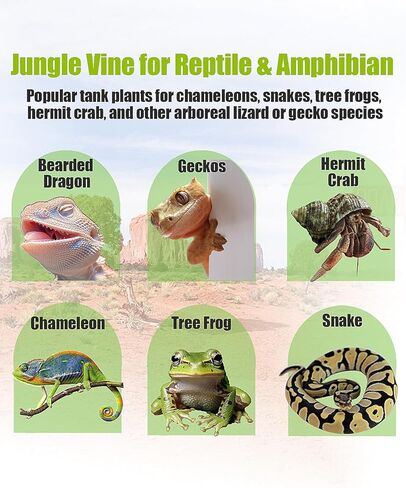 Hermit Crab Supplies Climbing Toys, Reptile Climbing Decor Vine, Bendable Bearded Dragon Accessories for Climbing 71 Inches in Saudi Arabia