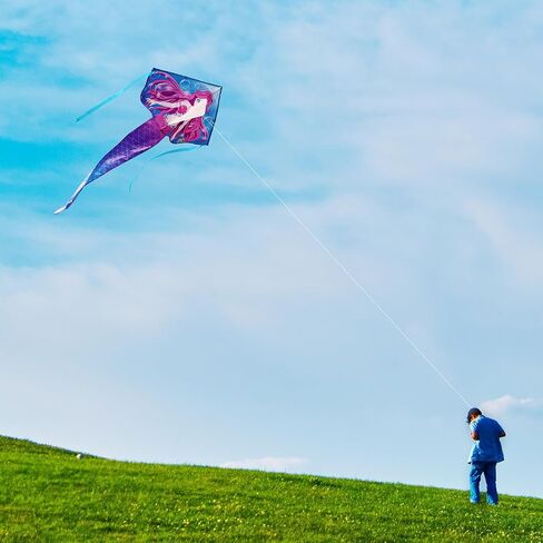 HONBO Large Mermaid Kite for Kids & Adults, Easy to Fly Delta Kite, Beginner Kite for Girls &Boys, Pegasus Beginner Kite for Kids,Octopus Kite in Saudi Arabia