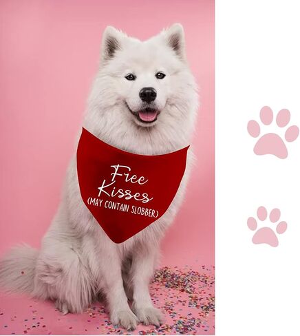 JXGZSO 1 Piece Free Kisses/Will You Be My Valentine/Stealing Hearts Dog Bandana Valentine's Day Dog Bandana (Be My Valentine D) in Saudi Arabia