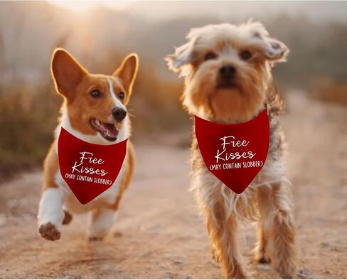 JXGZSO 1 Piece Free Kisses/Will You Be My Valentine/Stealing Hearts Dog Bandana Valentine's Day Dog Bandana (Be My Valentine D) in Saudi Arabia