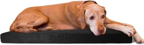Tough Dog Beds for Aggressive Chewers Resistant and Scratch Proof,Chew Proof Dog Beds Large Sized Dog with Removable Washable Cover,Indestructible Dog Beds for Excessive Chewers Anti Tear,Black in Saudi Arabia