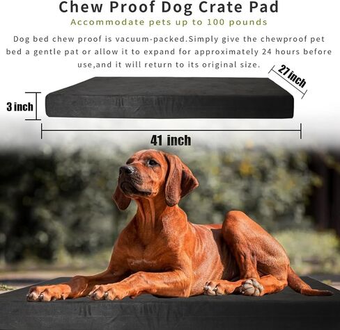 Tough Dog Beds for Aggressive Chewers Resistant and Scratch Proof,Chew Proof Dog Beds Large Sized Dog with Removable Washable Cover,Indestructible Dog Beds for Excessive Chewers Anti Tear,Black in Saudi Arabia