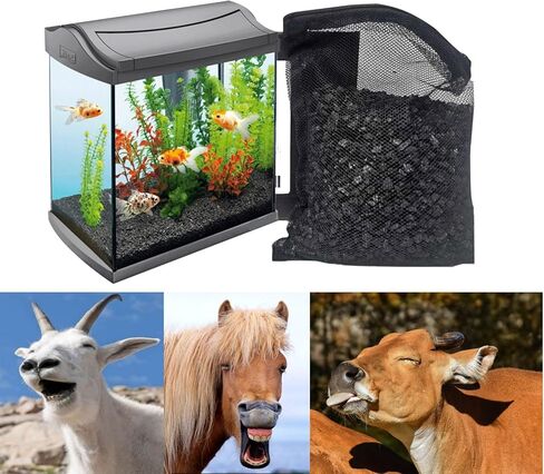 فلتر حوض السمك، حوض السمك الكربوني المنشط للبرك، خزان الأسماك، خزان المخزون للخيول، 0.7 رطل/0.32 كجم، مكعب منقي مياه حوض السمك البيئي. 4 × 8 شبكة من قشرة جوز الهند الفحم المنشط الحبيبي in Kuwait