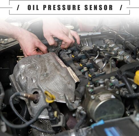 موتفورتي، حساس ضغط زيت المحرك، جي ام سي تيرين 2018-2023، بلاستيك، رقم 55573249، اسود in Kuwait