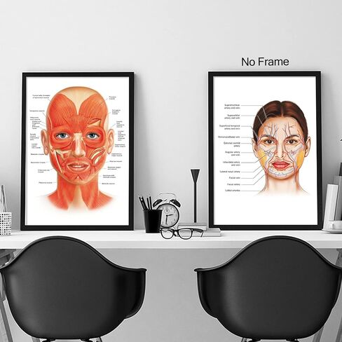 ملصق عضلات شريان الوجه، ملصق جداري من القماش الكتاني لتشريح الوجه لديكور عيادة المستشفى، ملصق فني لأوعية الوجه، صور المستشفى، طباعة فنية مفصلة 16 × 24 بوصة بدون إطار in Kuwait