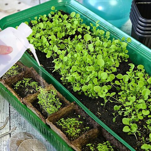 SOLUSTRE 6 قطع من زجاجات الغسيل الجانبية، زجاجات غسيل السلامة، زجاجة المختبر، زجاجة الضغط، زجاجة الغسيل الوحدوية، زجاجة الشطف، زجاجة غسيل المختبر، مختبرات الاحتكاك، قطعة واحدة من البلاستيك النباتي الأبيض in Kuwait