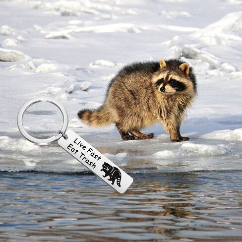 Funny Raccoon Camping Vintage Keychain Live Fast Eat Trash Funny Raccoon Lover Gift Raccoon Jewelry in Saudi Arabia