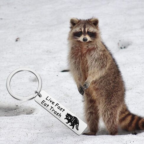 Funny Raccoon Camping Vintage Keychain Live Fast Eat Trash Funny Raccoon Lover Gift Raccoon Jewelry in Saudi Arabia