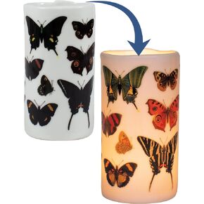 Butterflies Tealight Holder - Magically Changes When The Candle is Lit