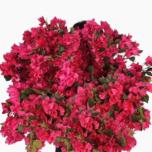 Wholesale Bulk 100pcs - 30inches Artificial Bougainvillea Silk Flower Branches Full Blossom Long Flowers Stems for Wedding Home Garden Event Decoration (Fuchsia - Pack of 100) in Saudi Arabia