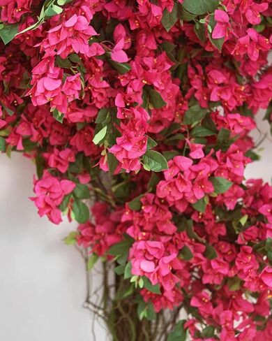 Wholesale Bulk 100pcs - 30inches Artificial Bougainvillea Silk Flower Branches Full Blossom Long Flowers Stems for Wedding Home Garden Event Decoration (Fuchsia - Pack of 100) in Saudi Arabia