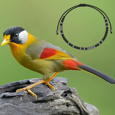 FEELMEM Cardinal Memorial Gift Forever In Your Heart Morse Code Bracelet Cardinal Condolence Sympathy Gift for Loss Loved One in Saudi Arabia