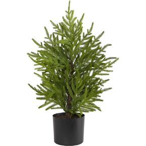 Nearly Natural 2ft. Norfolk Island Pine Natural Look Artificial Tree in Decorative Planter