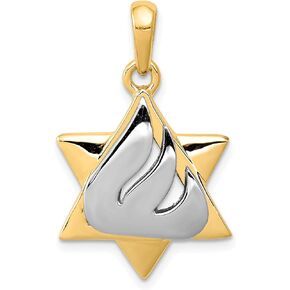 Avariah Gold 14k Two-tone Star of David Pendant - 30mm