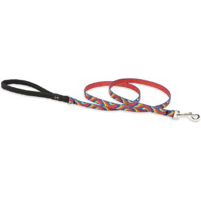 LupinePet Originals 1/2" Lollipop 6-foot Padded Handle Leash for Small Pets