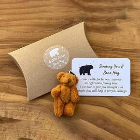 A Little Pocket Bear Hug - Sending You a Bear Hug, with Pocket Hug Token Card, Emotional Support Plush Positive Gifts for Graduation Birthday (Bronze)