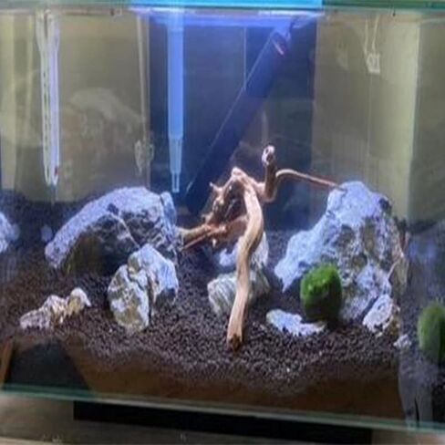 Natural Aquarium Driftwood Tropical Fish Plant Habitat Decor Vary Sizes, 2 Pcs Set (Medium) in Saudi Arabia