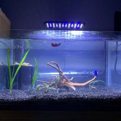 Natural Aquarium Driftwood Tropical Fish Plant Habitat Decor Vary Sizes, 2 Pcs Set (Medium) in Saudi Arabia