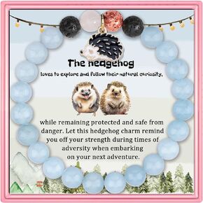 PARTNER Hedgehog Inspirational Birthday Gifts for Women Best Friends Unique Gifts Natural Stone Beaded Bracelets for Women Teen Girls Agate Beaded Jewelry with Meaningful Message Card For Hedgehog Lovers,Comes Packaged