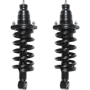 Rear Pair Strut Assembly for 2003-2011 Honda Element Driver Passenger Side Replacement #171101L 171101R