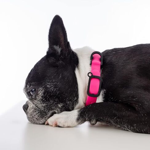NUVUQ Waterproof and Durable Dog Collar, Comfortable, Soft and Lightweight Adjustable Collar for Miniature Dogs and Puppies (Mini, Black Pepper) in Saudi Arabia