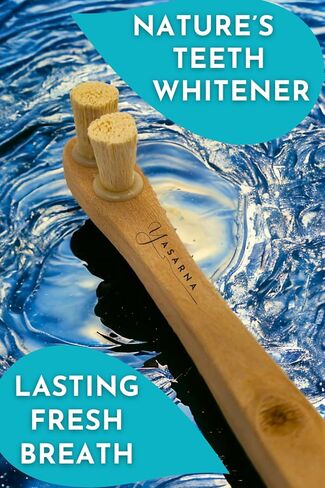 Miswak Toothbrush Pack with 5 Disposable Sewak Tips - Natural Teeth Whitening Meswak Stick Tooth Brush for Strong Gums and Fresh Breath - Dental Chew Sticks for Humans - Travel Oral Care in Saudi Arabia