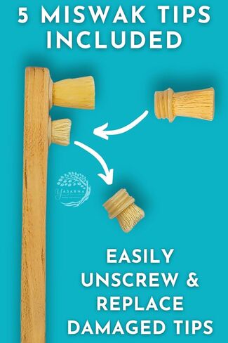 Miswak Toothbrush Pack with 5 Disposable Sewak Tips - Natural Teeth Whitening Meswak Stick Tooth Brush for Strong Gums and Fresh Breath - Dental Chew Sticks for Humans - Travel Oral Care in Saudi Arabia