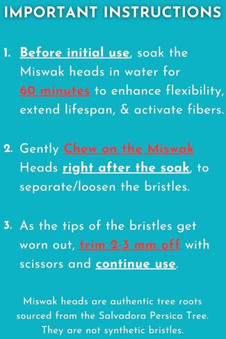 Miswak Toothbrush Pack with 5 Disposable Sewak Tips - Natural Teeth Whitening Meswak Stick Tooth Brush for Strong Gums and Fresh Breath - Dental Chew Sticks for Humans - Travel Oral Care in Saudi Arabia
