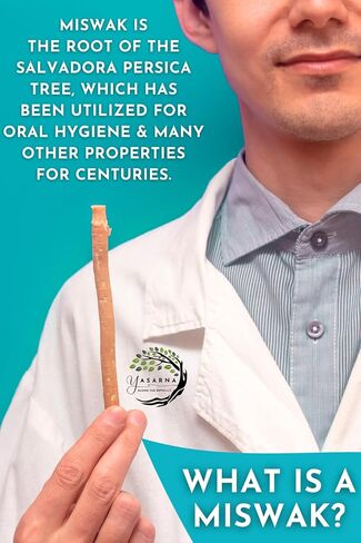Miswak Toothbrush Pack with 5 Disposable Sewak Tips - Natural Teeth Whitening Meswak Stick Tooth Brush for Strong Gums and Fresh Breath - Dental Chew Sticks for Humans - Travel Oral Care in Saudi Arabia