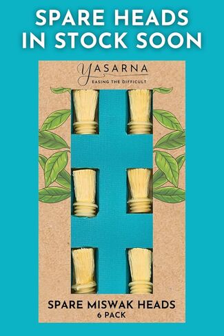Miswak Toothbrush Pack with 5 Disposable Sewak Tips - Natural Teeth Whitening Meswak Stick Tooth Brush for Strong Gums and Fresh Breath - Dental Chew Sticks for Humans - Travel Oral Care in Saudi Arabia