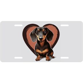 Ethnic Mountains Eagles Decorative Car Front License Plate, Vanity Tag, Metal Car Plate, Aluminum Novelty License Plate for Men/Women/Boy/Girls Car 6 X 12 Inch (4 Holes)