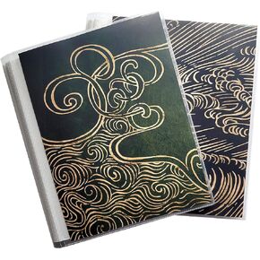 CocoPolka 8x10 Portfolio Photo Albums 2 Pack - Each Holds 60 Large Items in White Pockets