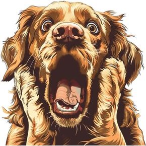 Funny Gold Retriever 3D Car Decal - Surprised Dog Decal for Window Bumper Rear - Funny Warning Sticker for Auto - Realistic Dog Car Art (Goldy)