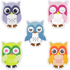SHIDOW Magnetic Owl Whiteboard, Cute Owl Eraser, Animal Shaped Dry Erase, Chalkboard Erasers with Felt for Classroom Office Home(1Set)